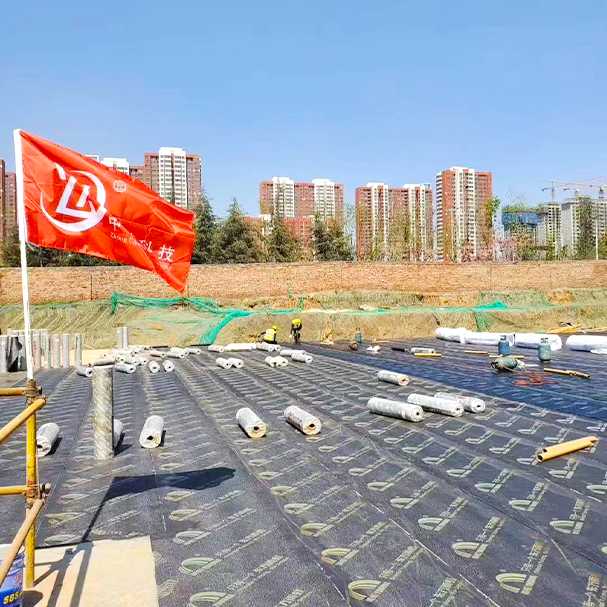 沉浸行业十余年，技术经验丰富